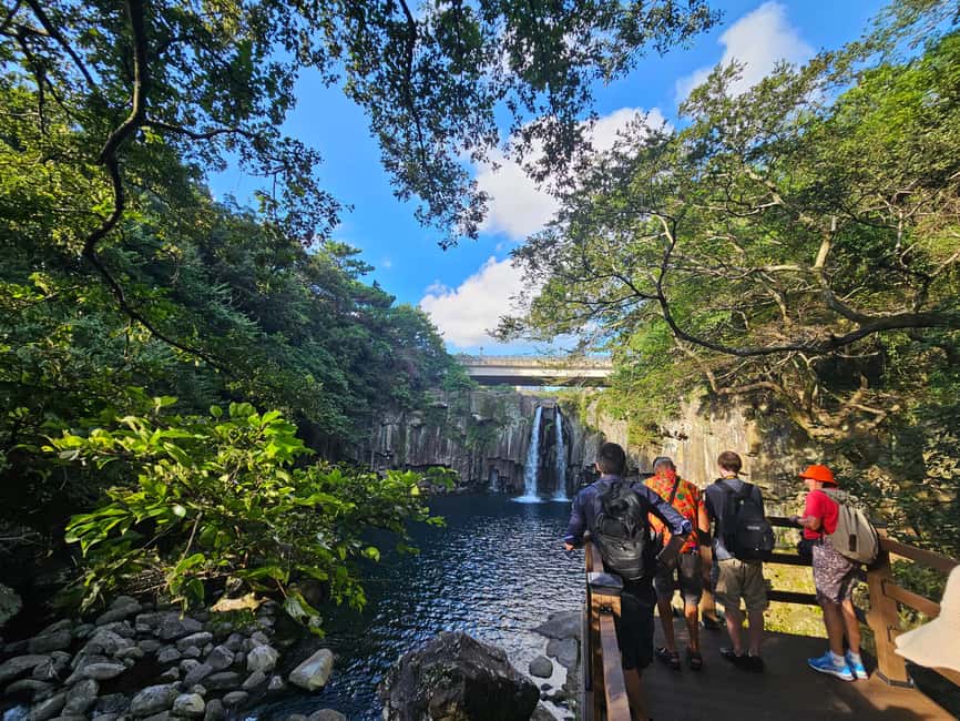 image n.6 of Jeju Island: Full-Day SouthWest Bus Tour with Entry Fees activity in Seogwipo-si, uploaded by supplier