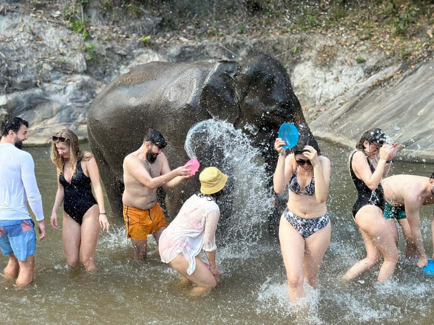 image n.19 of Chiang Mai: Elephant Sanctuary, Waterfall & Bamboo Rafting activity in Chiang Mai, uploaded by supplier