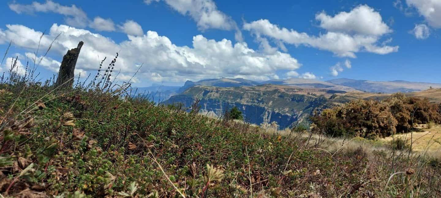 image n.8 of 3 Days Trekking & Wildlife Spotting in the Simien Mountains activity in Amhara Region, uploaded by supplier