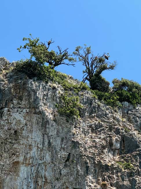 Immagine nº 14 di Krk: Baia d'Oro, Grotta Azzurra e Crociera delle 4 Isole attività a Ponte, caricata dal fornitore