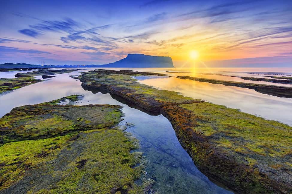 image n.4 of Jeju Private Car Charter tour for Cruise Guests activity in Jeju-si, uploaded by supplier
