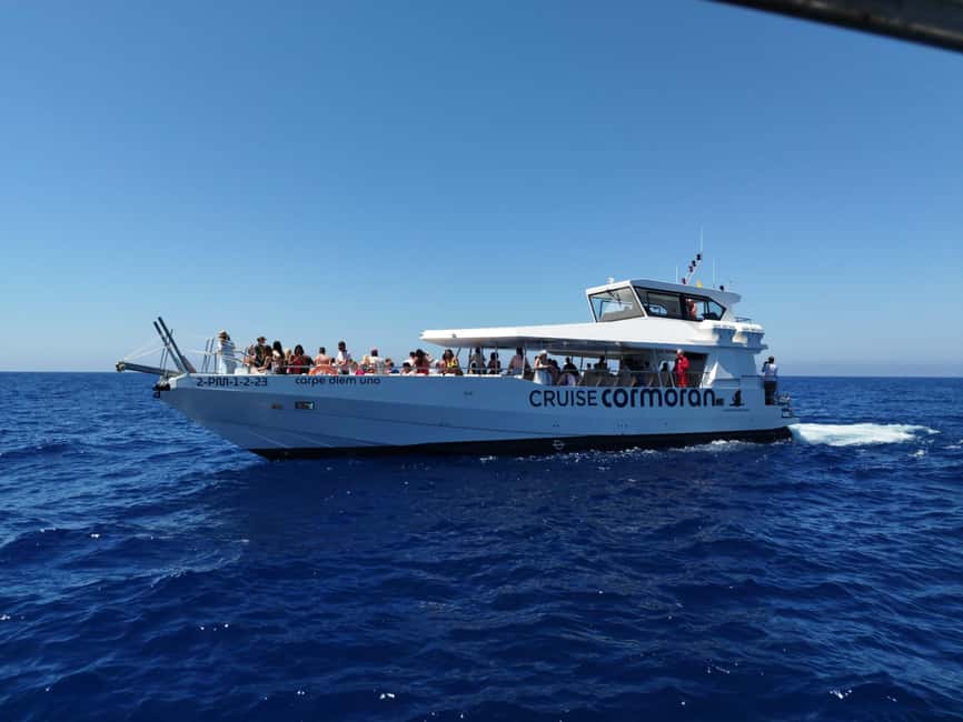 Bild Nr. 4 von Von Palma: 3-stündige Bootstour zur Delfinbeobachtung am Morgen Aktivität in Palma de Mallorca, hochgeladen vom Anbieter