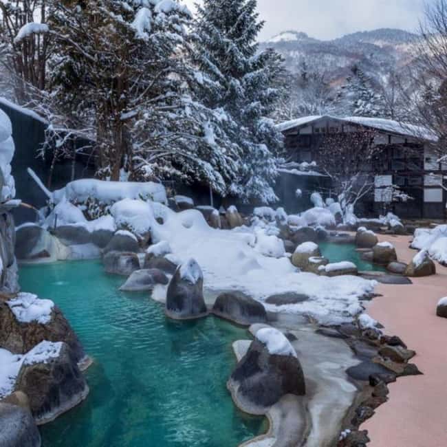 image n.14 of From Tokyo: Private Tour Snow Monkey Park & Zenko-ji Temple activity in Nagano, uploaded by supplier