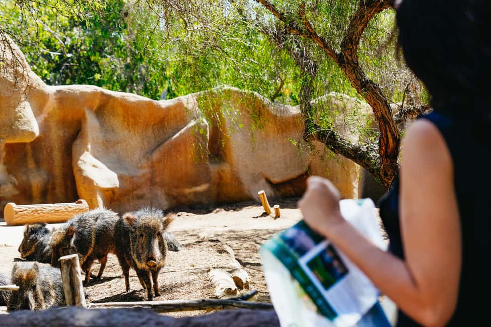 image n.37 of San Diego Zoo Admission Ticket activity in San Diego, uploaded by supplier