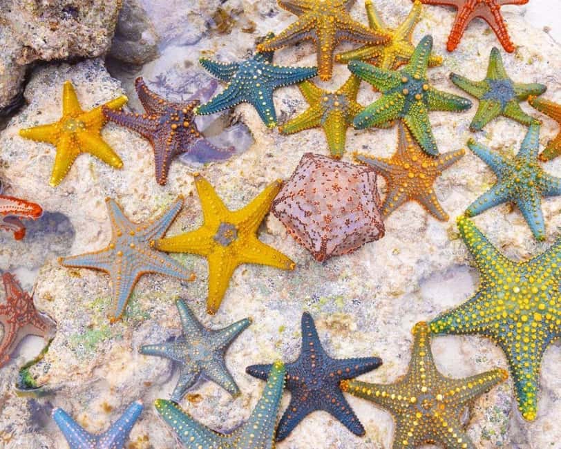 image n.5 of Salaam Cave, Starfish Adventure, The Rock Lunch, Kuza Cave activity in Jambiani, uploaded by supplier