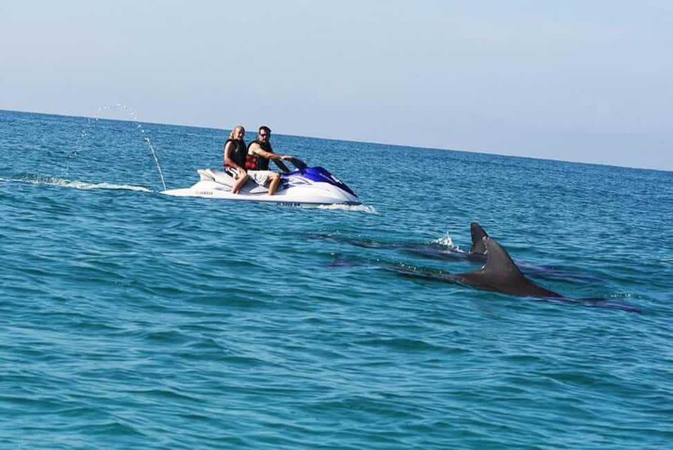 image n.9 of Destin: Crab Island Dolphin Watching Jet Ski Tour activity in Destin, uploaded by supplier