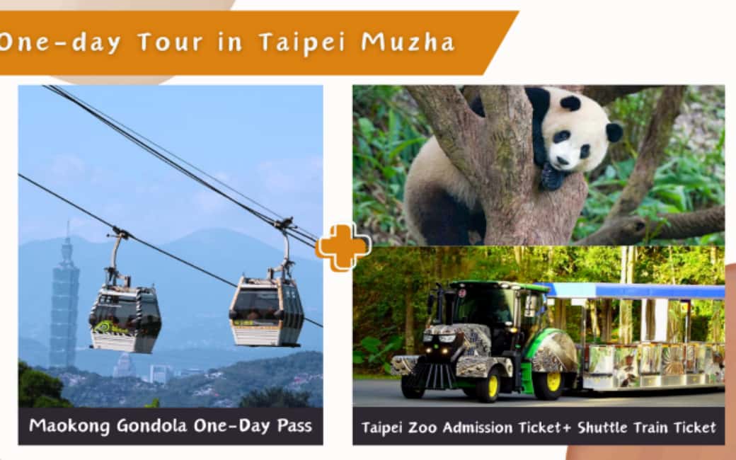 image n.2 of Taipei Makong Cable Car: Ticket & Combos activity in Taipei City, uploaded by supplier