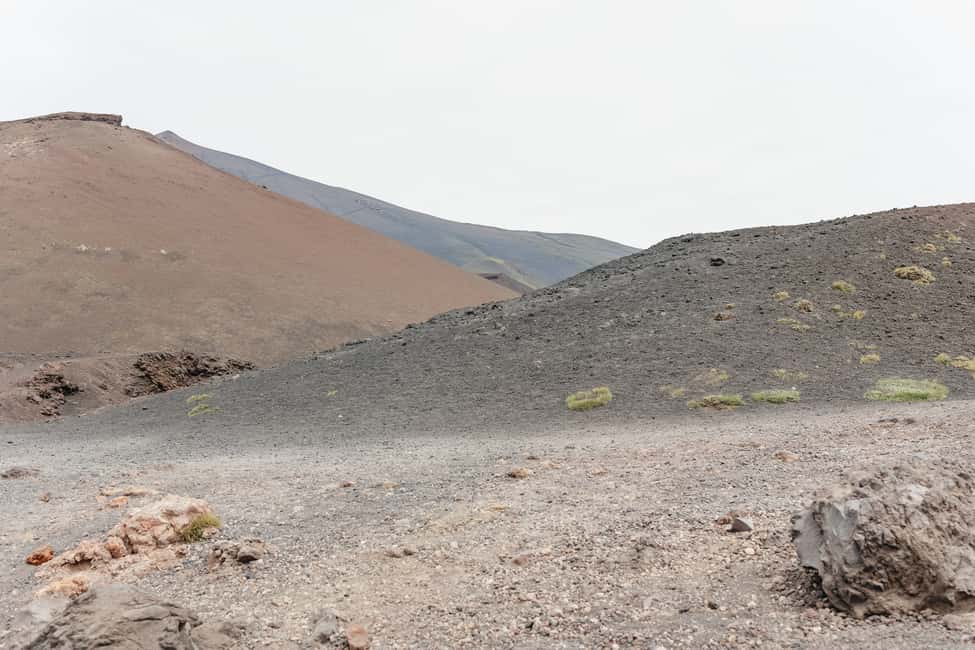 Immagine nº 27 di Catania: Gita di un giorno sull'Etna al mattino o al tramonto con degustazione attività a Catania, caricata dal fornitore