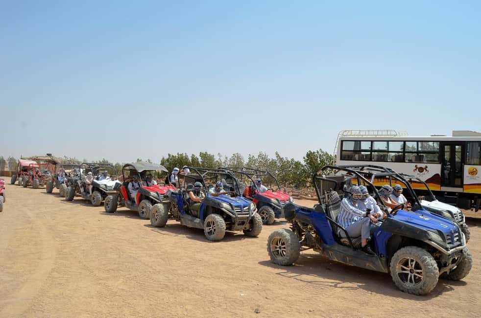 image n.23 of Hurghada: Quad Bike, Buggy, and Camel Ride & Bedouin Village activity in Hurghada, uploaded by supplier