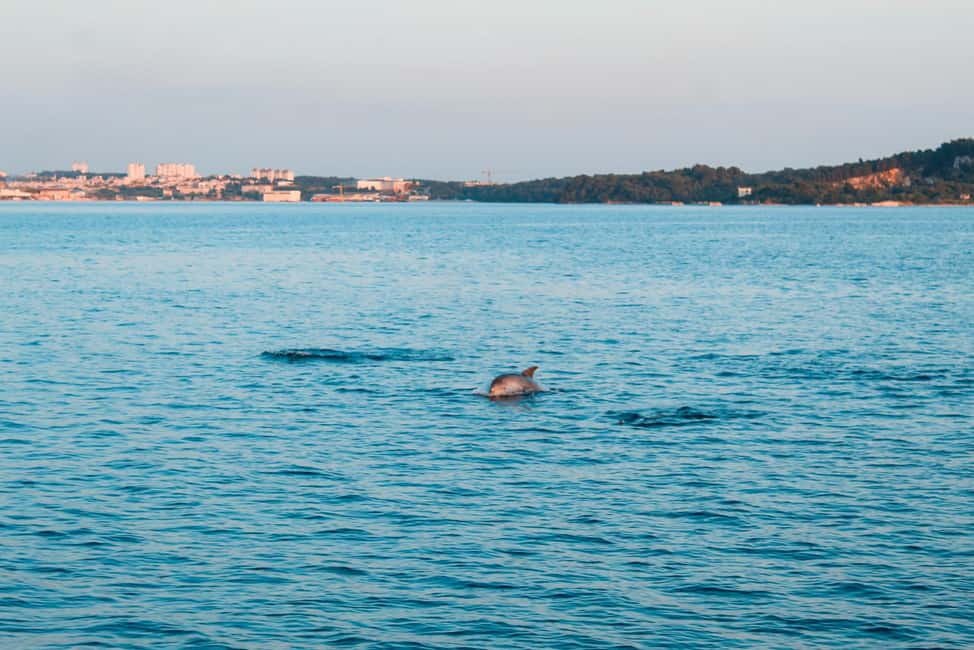 Bild Nr. 48 von Pula: Delfinbeobachtung & Sonnenuntergangskreuzfahrt mit Abendessen & Getränken Aktivität in Pula, Kroatien, hochgeladen vom Anbieter
