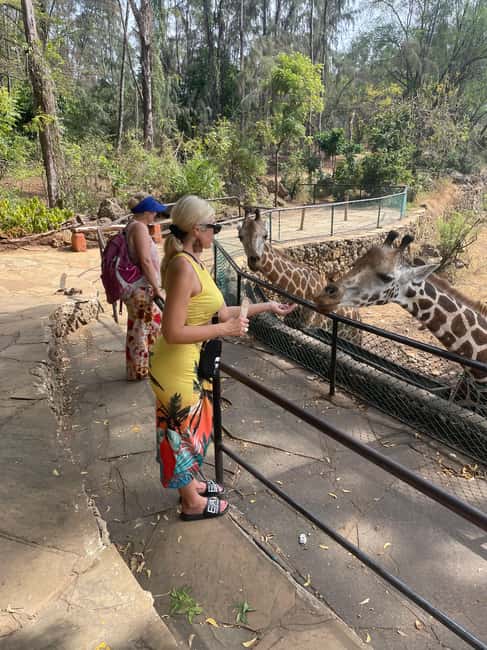 image n.1 of Mombasa Full Day City tour & Haller Park activity in Mombasa, uploaded by supplier