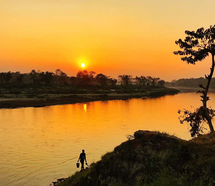 image n.4 of From Kathmandu/Pokhara: 3 Day All-Inclusive Chitwan Safari activity in Pashchimanchal, Western Region, uploaded by supplier