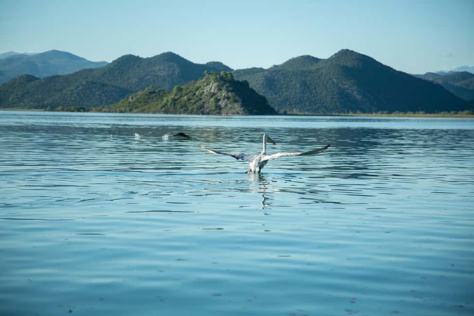 image n.30 of Virpazar: Historical & Nature Boat Adventure on Lake Skadar activity in Podgorica, uploaded by supplier