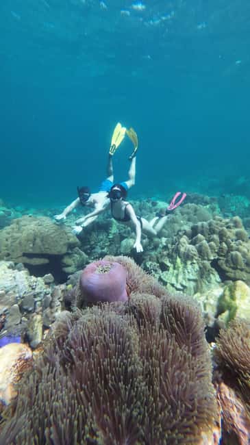 image n.22 of Koh Lipe: Longtail Boat Snorkeling Trip with Lunch activity in Gulf of Thailand, uploaded by supplier