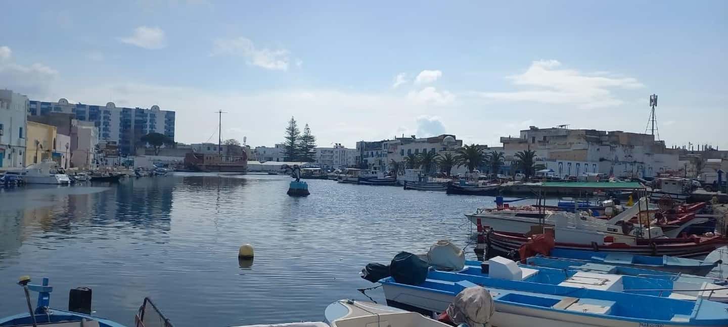 image n.30 of North Africa Tour : Utica-Bizerte-Ichkeul Park(UNESCO) activity in Kairouan, uploaded by supplier
