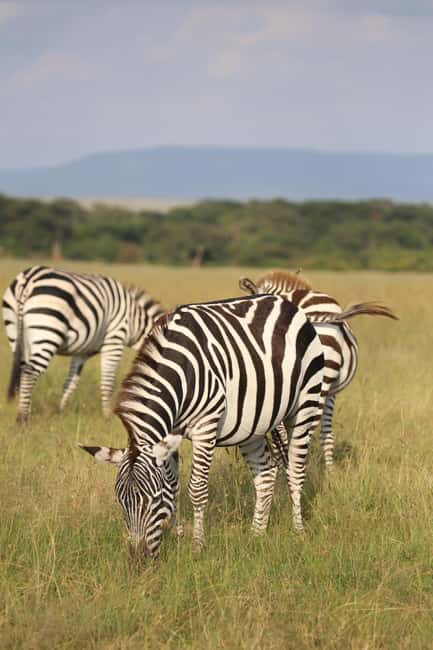 image n.16 of Day Trip: Hell's Gate Bike Ride & Lake Naivasha Boat Ride activity in Nakuru, uploaded by supplier