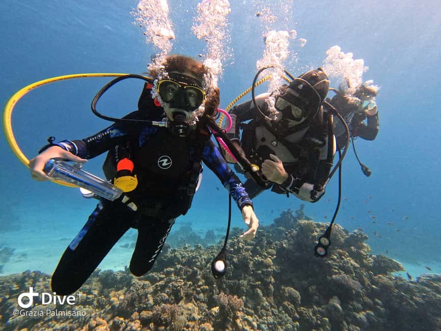 Immagine nº 2 di Esperienza di immersione a Porto Cesareo attività a Lecce, caricata dal fornitore