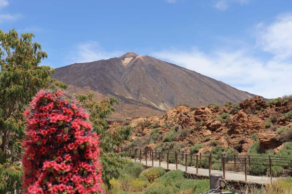 billede nr.8 af aktiviteten Teide National Park and Vilaflor; local wine tasting i Kanarieøerne, uploadet af udbyder