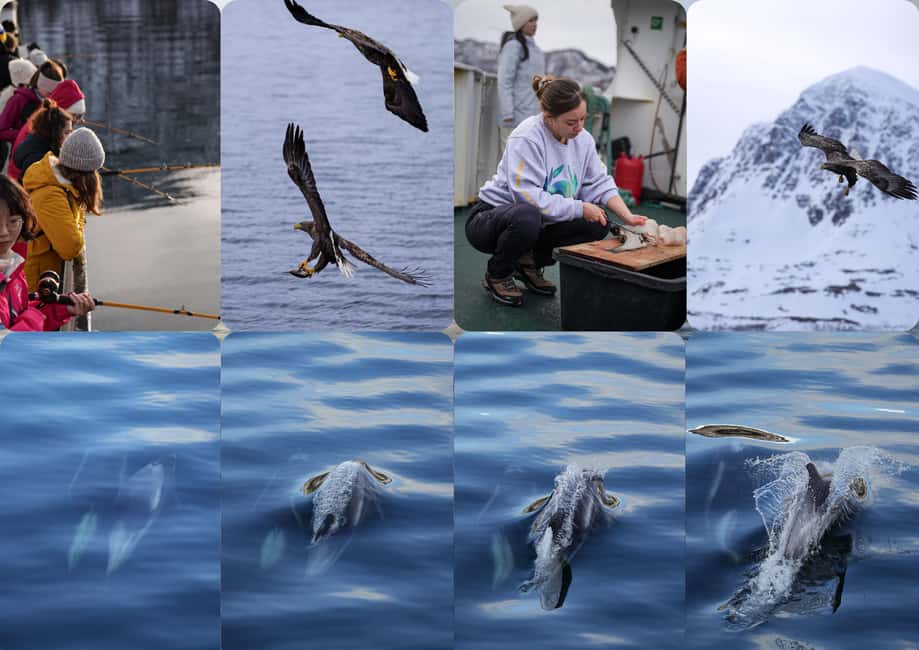 image n.2 of Tromsø’s Top-Rated Fjord & Fishing Cruise – All-Inclusive activity in Barents Sea, uploaded by supplier