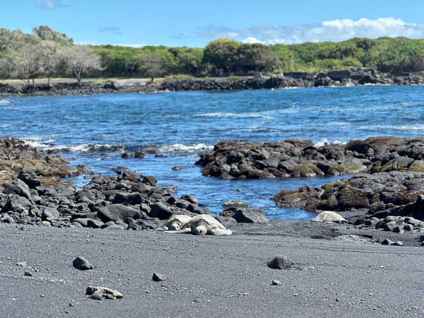 Immagine nº 6 di Da Hilo: escursione guidata con il Parco Nazionale dei Vulcani attività a Hilo, caricata dal fornitore