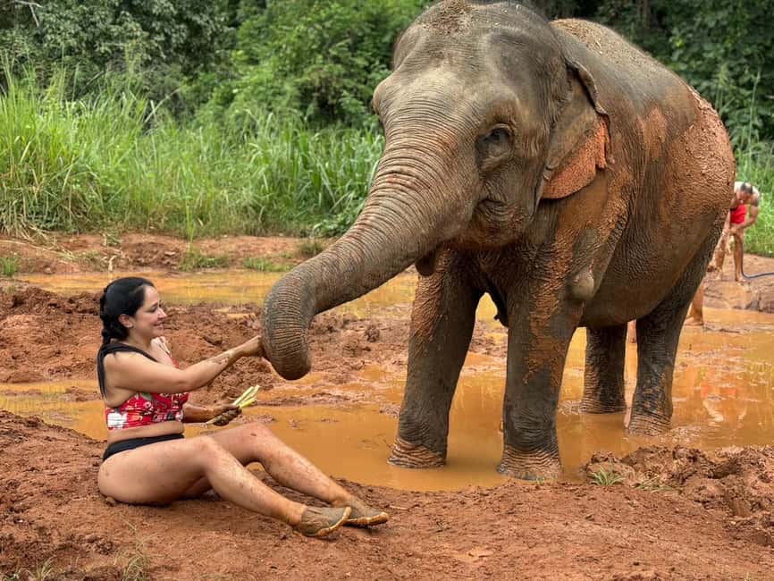 image n.16 of Chiang Mai: Elephant Sanctuary, Waterfall & Bamboo Rafting activity in Chiang Mai, uploaded by supplier