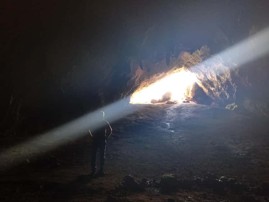 imagem n.10 de Atenas: Viagem de 1 dia a Delfos, Caverna de Córius e Campo de Batalha 300 atividade em Delfos, carregada pelo fornecedor