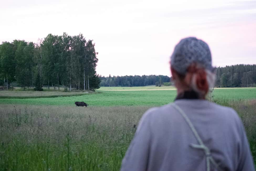 kuva n.7/Villieläinsafari leirinuotioillallisella Helsingistä käsin aktiviteetista Suomenlahti, jonka toimittaja on ladannut