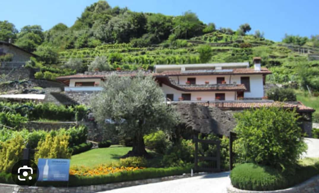 image n.3 of Lake Como: Winery Tour with Wine Tasting activity in Lombardy, uploaded by supplier