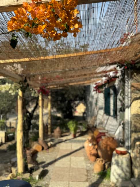image n.20 of Rhodes: Cooking Class & Lunch at a Traditional Farmhouse activity in Archangelos, uploaded by supplier
