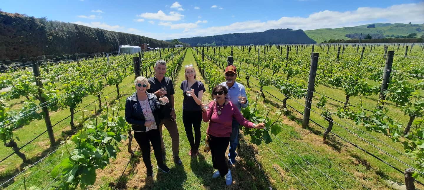 image n.3 of From Wellington: Martinborough Winery Tour activity in Wellington, uploaded by supplier