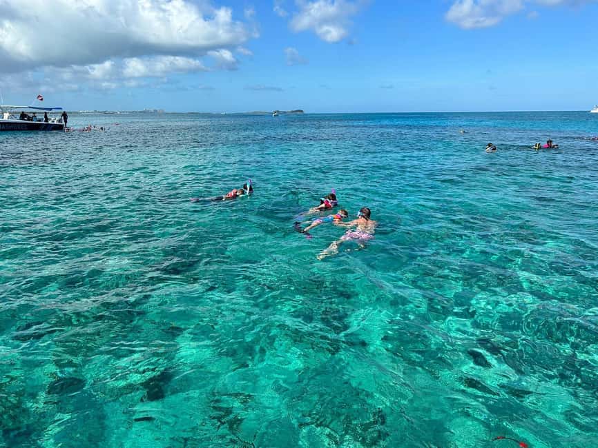 Image N°59 de Nassau : Cochons, plongée en apnée, tortues, déjeuner, club de plage privé activité à New Providence, publiée par le prestataire