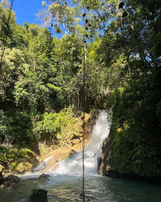 imagem n.5 de Floyd's Pelican Bar, Ys Falls e Black River Safari Tour atividade em Montego Bay, carregada pelo fornecedor