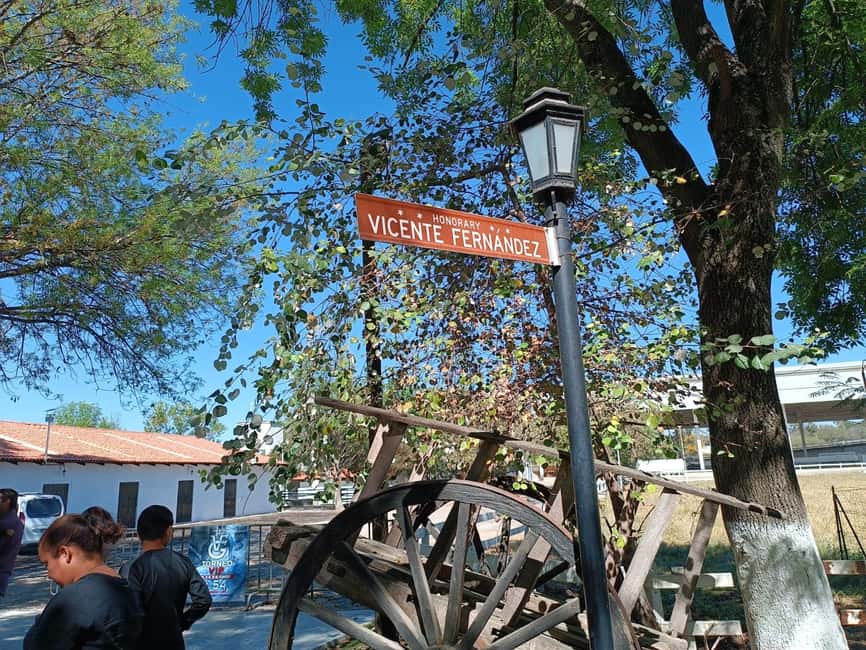 image n.8 of From Guadalajara to Chapala Lake: Funny and cultural tour activity in Chapala, uploaded by supplier
