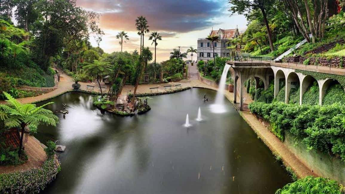 image n.11 of Madeira: Monte Tropical Gardens + Old Town Tuk Tuk by MadTuk activity in Funchal, uploaded by supplier