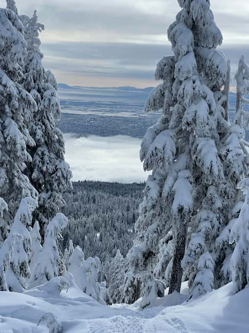 image n.17 of Vancouver: North Shore Mountains Snowshoeing with Transfer activity in West Vancouver, uploaded by supplier