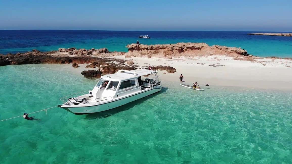 Immagine nº 4 di Muscat: tour di snorkeling con le tartarughe alle isole Daymaniyat attività a Mascate, caricata dal fornitore