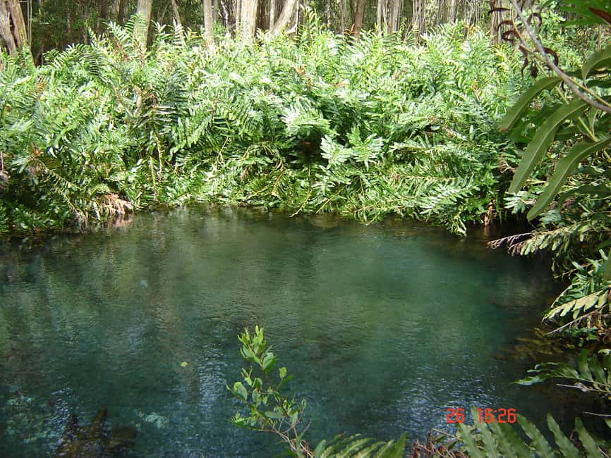 Image N°15 de Depuis Mérida : Visite de la réserve de biosphère de Ria Celestun activité à Celestún, publiée par le prestataire