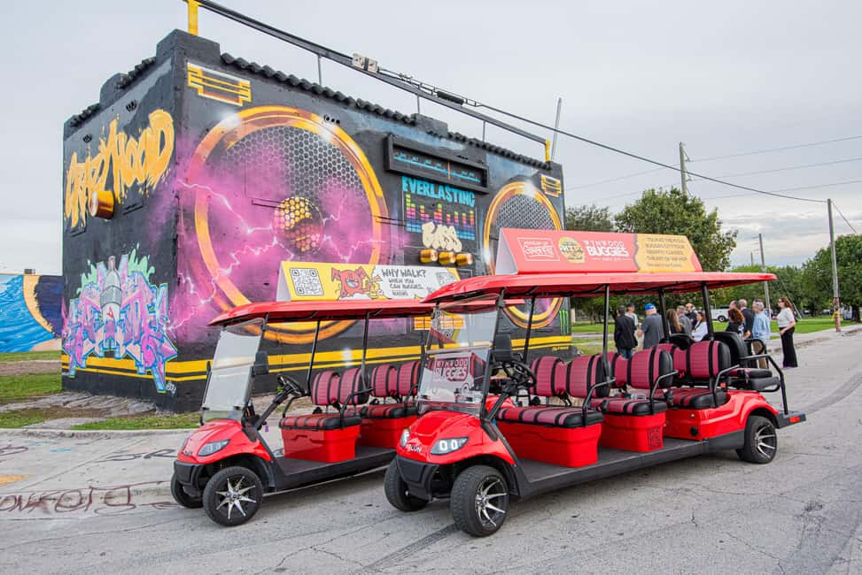 imagen n.º 10 de Recorrido de 1 hora por el distrito artístico de Wynwood en buggies de arte urbano actividad en Miami, subida por el proveedor