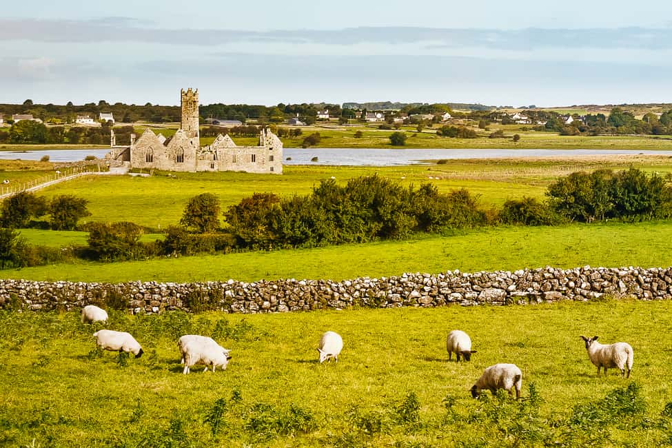 Image N°7 de Au départ de Galway : Connemara et abbaye de Kylemore : visite d'une jounée guidée activité à Connacht, publiée par le prestataire
