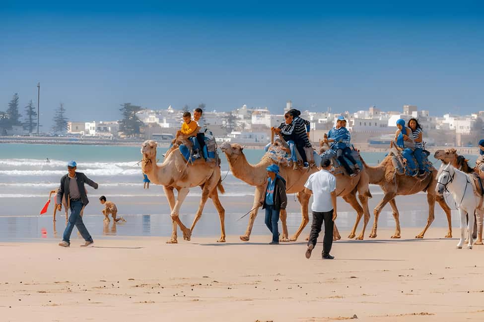 image n.6 of From Marrakech: Essaouira day Trip with camel, horse & quad activity in Essaouira, uploaded by supplier
