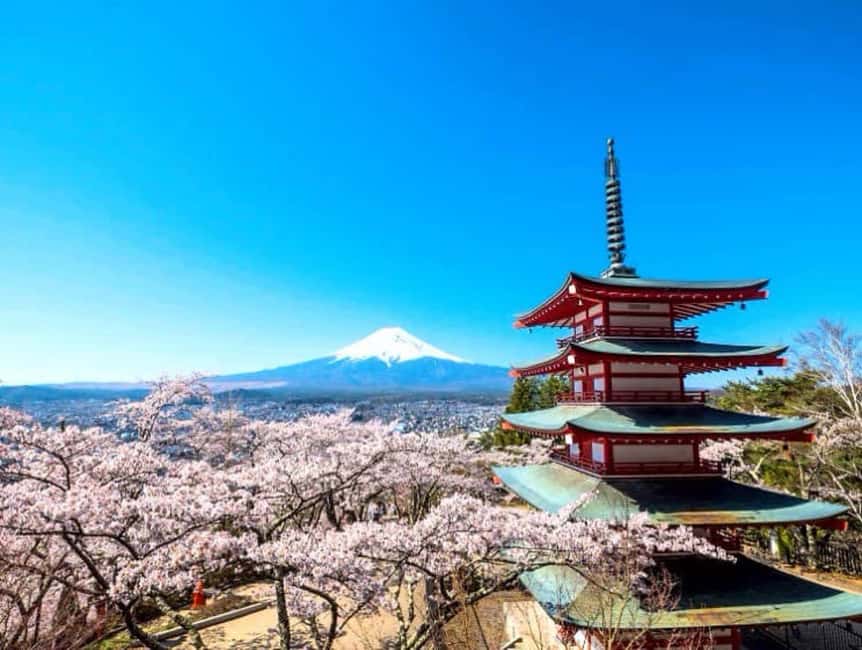 image n.6 of From Tokyo: Mount Fuji Full Day Private Tour English Guide activity in Fujikawaguchiko, uploaded by supplier