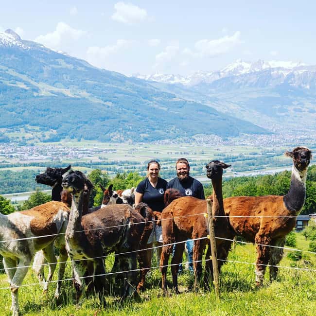 Bild Nr. 10 von Triesenberg: Spaziergang mit Lamas in den Bergen Aktivität in Triesenberg, hochgeladen vom Anbieter