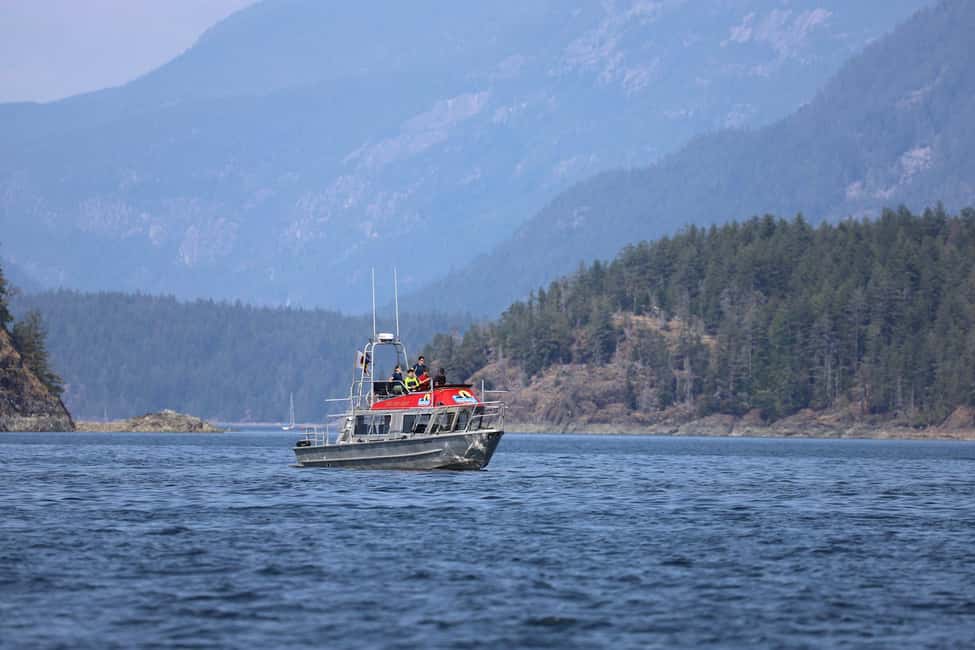 image n.12 of Vancouver Island: Full-Day Grizzly Bear Tour at Toba Inlet activity in British Columbia, uploaded by supplier