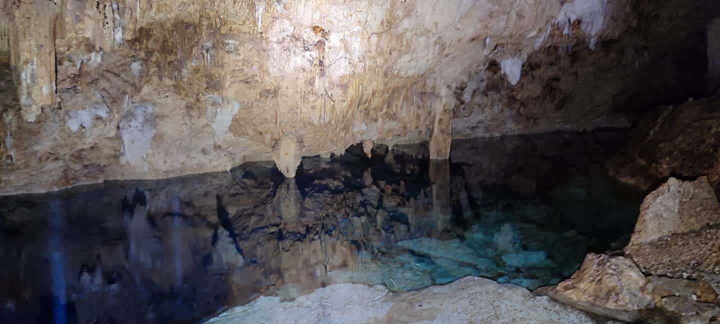 imagem n.10 de Bayahibe: Passeio na selva do Parque Nacional e mergulho em Cenotes atividade em Bayahibe, carregada pelo fornecedor
