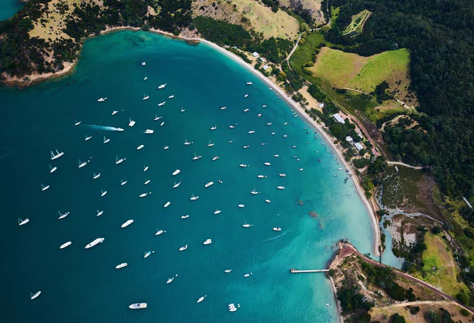 billede nr.2 af aktiviteten Auckland: Man O' War Vineyard Ferry (Waiheke Island) i Auckland, uploadet af udbyder