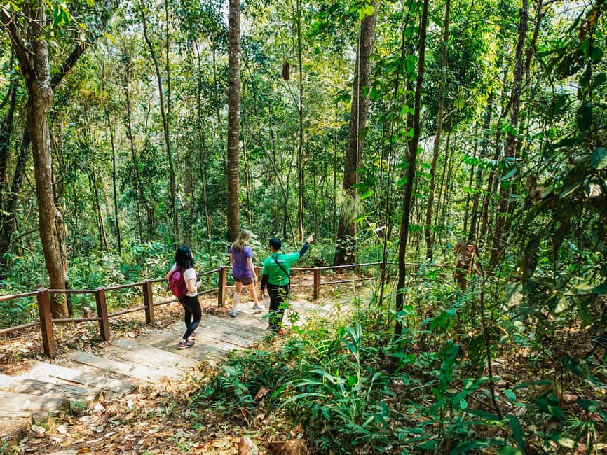 image n.25 of Chiang Mai: Doi Inthanon National Park Eco-Friendly Tour activity in Chiang Mai, uploaded by supplier
