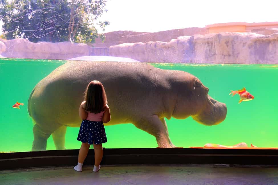 image n.13 of Dubai: Dubai Safari Park Entry Pass activity in Dubai, uploaded by supplier