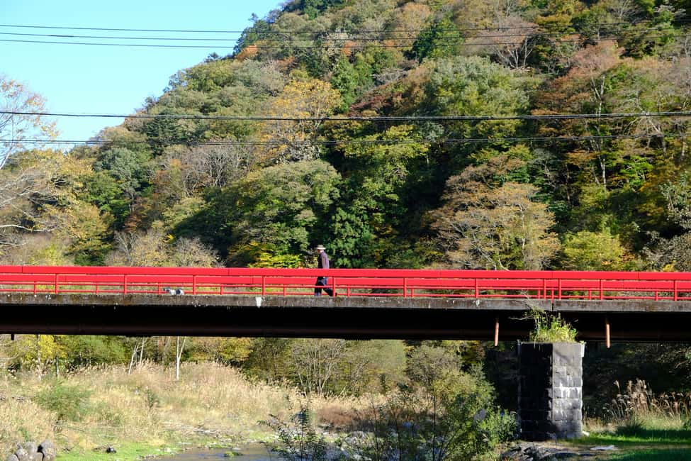 image n.26 of Nikko Heritage & Nature Day Trip from Tokyo activity in Nikko, uploaded by supplier