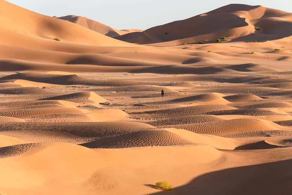 image n.26 of Desert Safari, Sunset & Sand Bashing (Rub Al Khali Desert) activity in Dhofar, uploaded by supplier