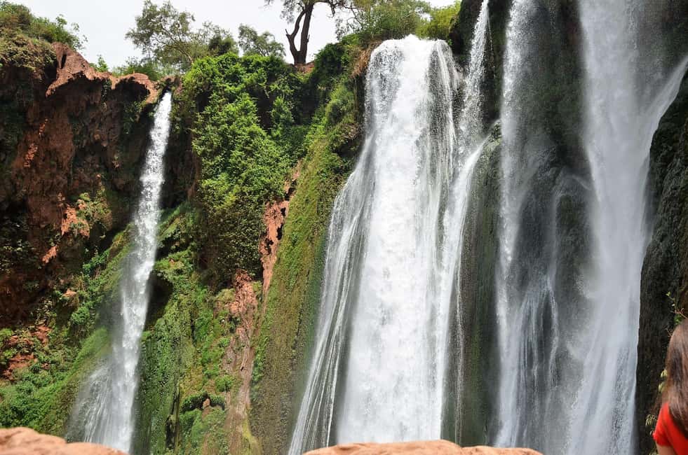 imagen n.º 13 de Excursión de un día a las cascadas de Ouzoud y paseo en barco desde Marrakech actividad en Beni-Mellal, subida por el proveedor